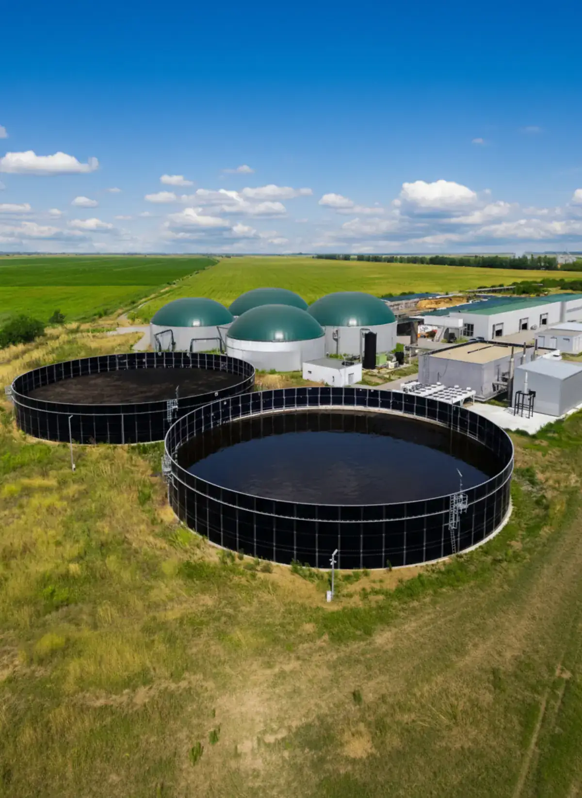 Biogas